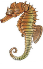 Красная книга Украины. Морской конек длиннорылый Hippocampus guttulatus  Cuvier, 1829